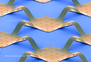 Illustration for article titled New Flexible Image Sensors Could Enable Eyeball-Cams, More Realisitc Cyborgs